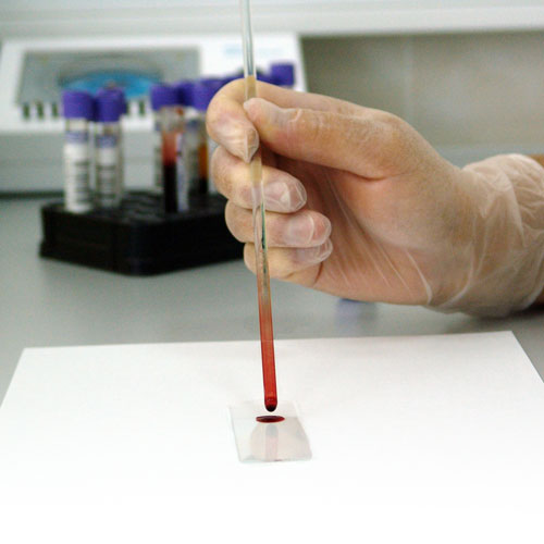 laboratorio