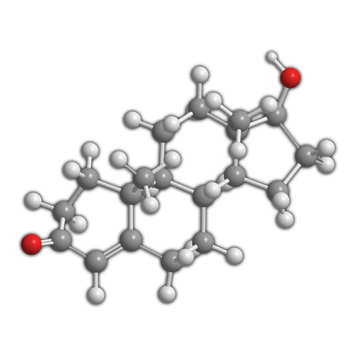 testosterone